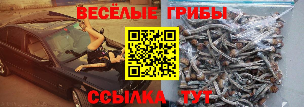 Галлюциногенные грибы MAGIC MUSHROOMS  Псилоцибиновые грибы Magic Shrooms  Вход с VPN  Асбест 